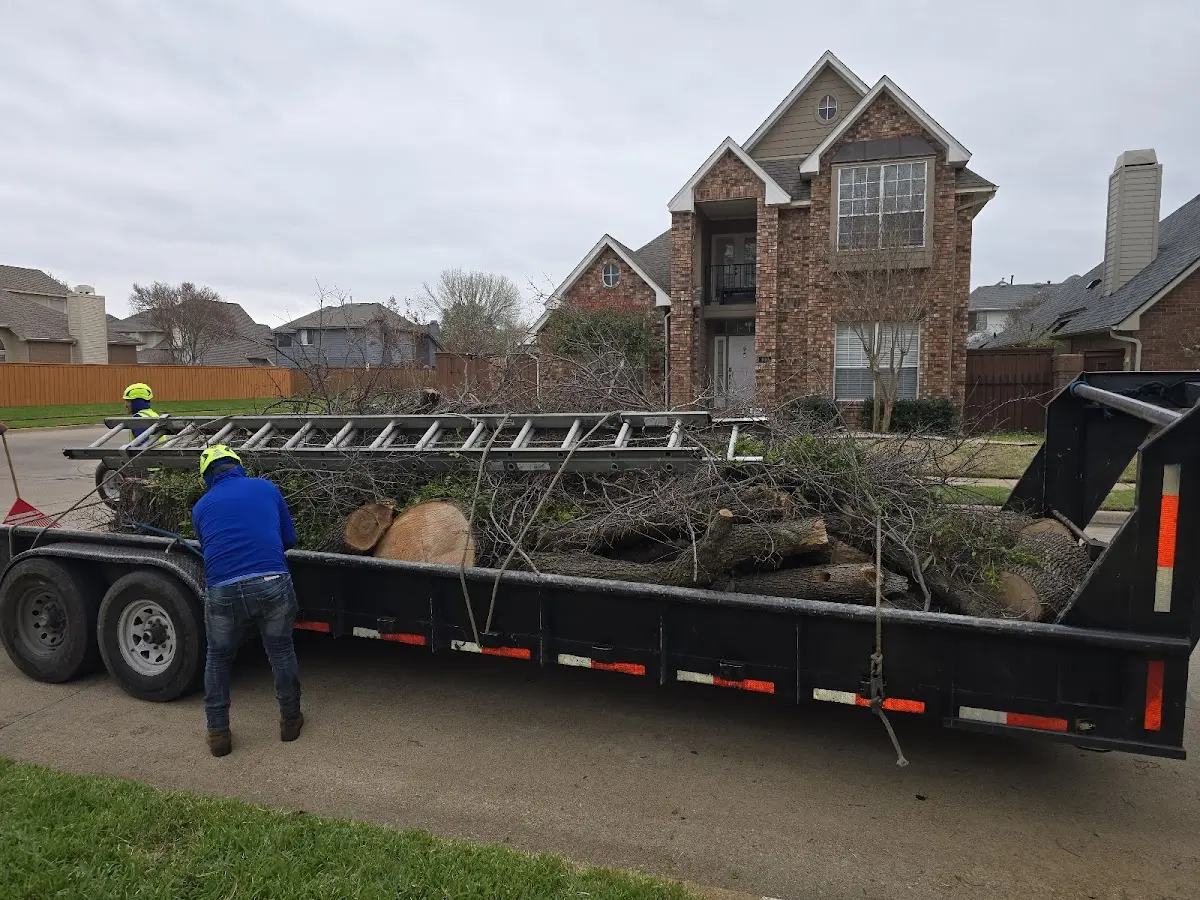 Expert Tree Removal with proper safety equipment in Pembroke